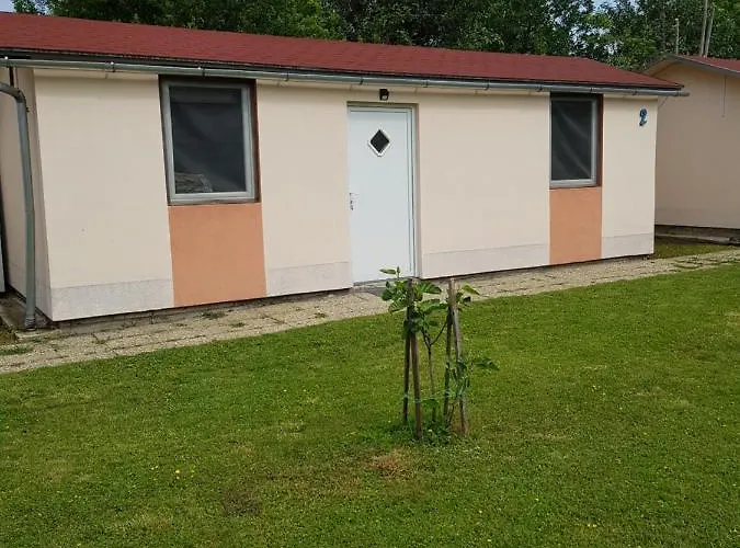 Napraforgo 3*
