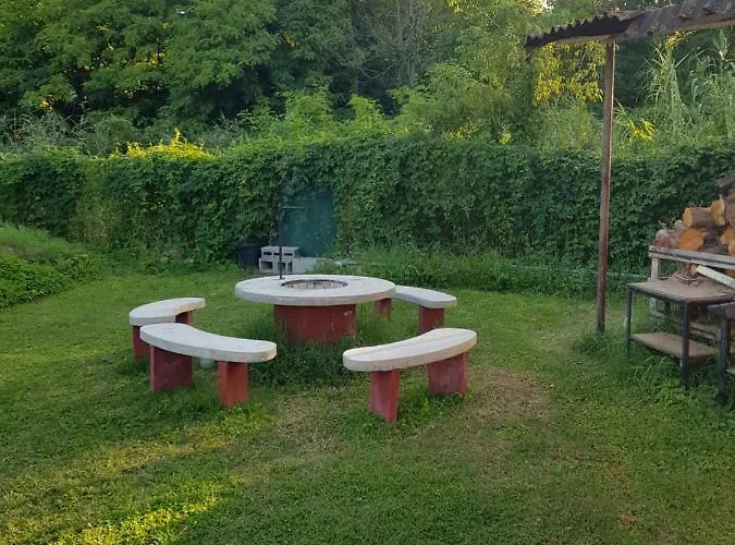 Napraforgo 3*